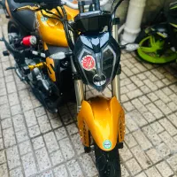 بنلی جفت سیلندر ۴۰۲خشک طلایی گرون ترین رنگ