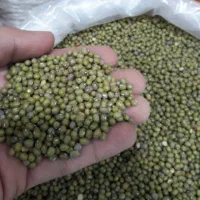 ماش|عمدهفروشی|کرخه, |دیوار