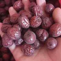 عناب|خوردنی و آشامیدنی|ورامین, ورامین|دیوار