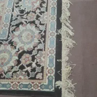فرش ۶ متری|فرش|ملارد, |دیوار
