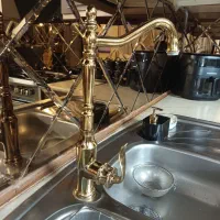 شیرالات طلایی