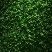 فروش و اجرای چمن مصنوعی آبادان و خرمشهر