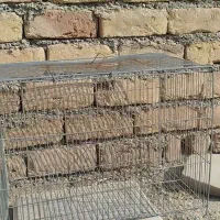 ۴ عدد قفس پرنده|لوازم جانبی حیوانات|ساوه, |دیوار