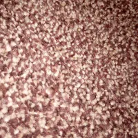 پالاز موکت ۳ متری