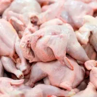 بال و کتف گردن مرغ ران و سینه مرغ