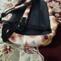 کیف مدرسه|کیف، کفش، کمربند|ایوان, |دیوار