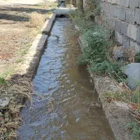 باغچه و باغ فول امکانات/آسفالت مسیر/شن ریزی|فروش خانه و ویلا|تهران, جوادیه|دیوار