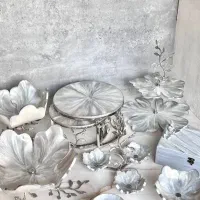 خاص پذیرایی کن .ظروف پذیرایی رزینی|ظروف سرو و پذیرایی|تهران, مطهری|دیوار