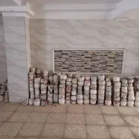 ۳۰۰ عدد گلدان