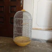 قفس پرنده