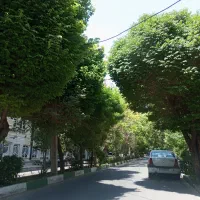 185-متر-3-خوابه-2-پارکینگ-سند-تاپ-لوکیشن-فاز-2