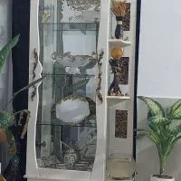 گنجه سالم