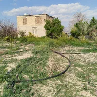 فروش ۳ هکتار باغ و زمین و سالن پرورش قارچ|فروش دفتر صنعتی، کشاورزی، تجاری|فسا, |دیوار