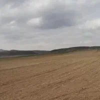 زمین کشاورزی حاصلخیز هفت هکتار دیم یک جا|فروش دفتر صنعتی، کشاورزی، تجاری|کرج, گلشهر|دیوار