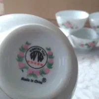 ترشی خوری گل قرمزی