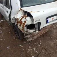 ماشین تصادفی است