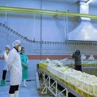 استخدام دامپزشک