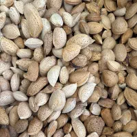 گردو بوانات آلو بخارا طبیعی|خوردنی و آشامیدنی|شیراز, آزادگان|دیوار