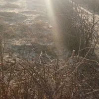 فروش زمین 250متر دو نبش سند تک برگ|فروش زمین و ملک کلنگی|فشاپویه, |دیوار