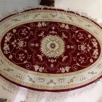 پا دری زرشکی کاملا سالم سالن