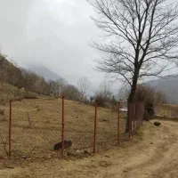 زمین-کوهی-در-ارتفاعات-تالش