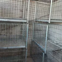 قفس جفت کن کبوتر