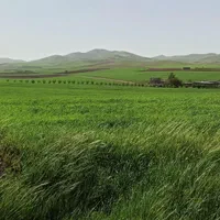 زمین کشاورزی دیم