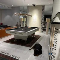میز بیلیارد شارجمع کن مدرن MOAYDII SPORTS