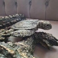 ماه دیوار کوب قاب ایینه قاب عکس مجسمه لاکپشت تمساح|مجسمه، تندیس، ماکت|تهران, ستارخان|دیوار