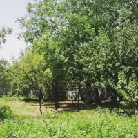باغ در شیروان روستای ورمیان