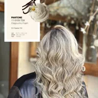 خدمات و آموزش تخصصی رنگ و لایت