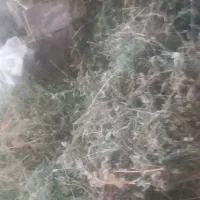 یونجه|لوازم جانبی حیوانات|آبکوه, |دیوار