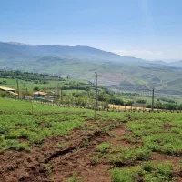 زمین با کاربری باغی|فروش زمین و ملک کلنگی|توتکابن, |دیوار