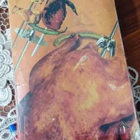 اجاق گاز تمام استیل فردار و دو جوجه گردان|اجاق گاز و لوازم برقی پختوپز|تهران, شهرک ولیعصر جنوبی|دیوار