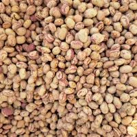 فروش لوبیا چیتی تازه و با کیفیت|خوردنی و آشامیدنی|مرودشت, مختارآباد|دیوار