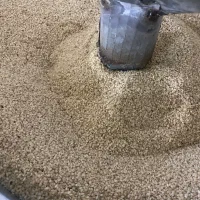 کنجد|عمدهفروشی|تکاب, |دیوار