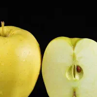 مرکز فروش اینترنتی نهال شناسه دار(سیب زرد)|خدمات باغبانی و درختکاری|ازنا, |دیوار
