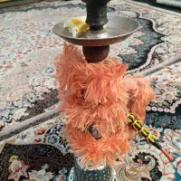 قلیان|کلکسیون و سرگرمی|گلستان (تهران), |دیوار