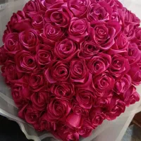 گل ربانی|گل مصنوعی|فولادشهر, B8|دیوار