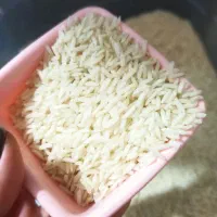 برنج زرد دم