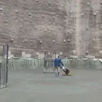 ماله پروانه ای|خدمات پیشه و مهارت|چالوس, |دیوار