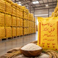 فروش برنج چمپا