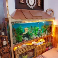 اکواریوم دو متری با کابینت هاکلاس اصل|ماهی|ارومیه, |دیوار