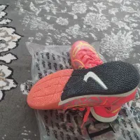 دو جفت کفش|کیف، کفش، کمربند|کارون, |دیوار