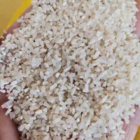 برنج لاشه (نیمدانه) فجر سوزنی معطر اعلی بشرط پخت|خوردنی و آشامیدنی|گرگان, |دیوار