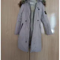 پالتو میکرو