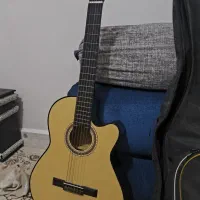 گیتار کاملاً نوع است