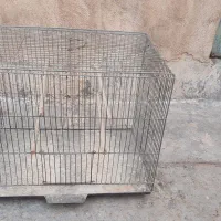 قفس پرنده