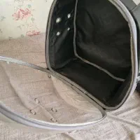 کیف کوله وآغوشی سگ وگربه