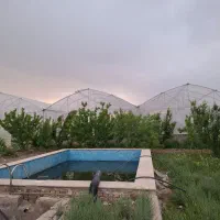 گلخانه به متراژ 15000 متراژ 2000متر درختان میوه|فروش دفتر صنعتی، کشاورزی، تجاری|هشتگرد, تهران دشت|دیوار